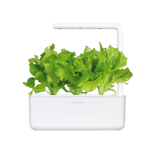 Click and Grow Smart Garden Refill 3-pack - Green Lettuce