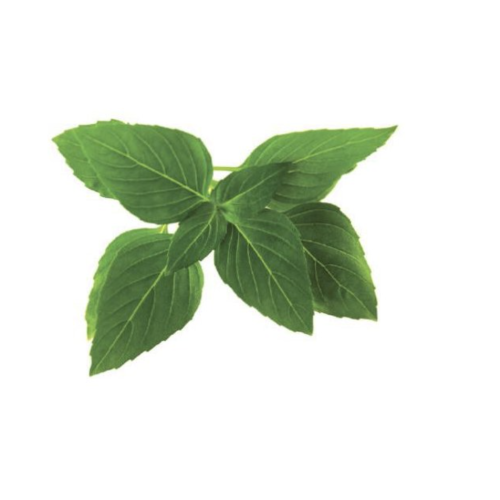 Click and Grow Smart Garden Refill 3-pack - Thai Basil*