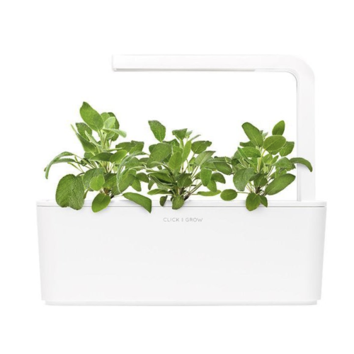 Click and Grow Smart Garden Refill 3-pack -Garden Sage*