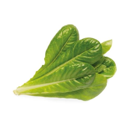 Click and Grow Smart Garden Refill 3-pack - Romaine Lettuce*