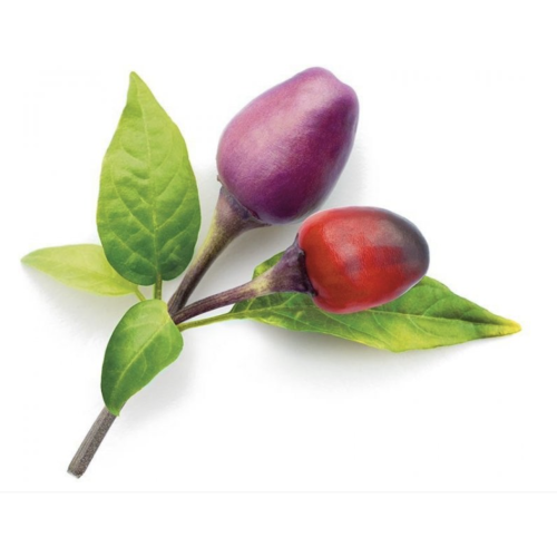 Click and Grow Smart Garden Refill 3-pack - Purple Chilli*
