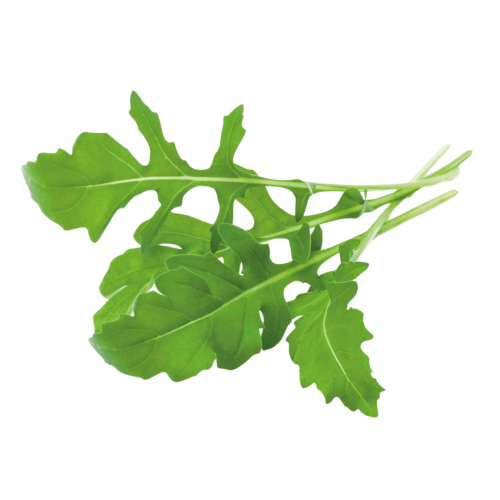 Click and Grow Smart Garden Refill 3-pack - Arugula